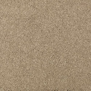 Abingdon Forest|Brushed Suede|BZ177-511 - Sample