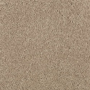Absolute Elegance I|Hearth Beige|2N34-518 - Sample