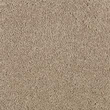 Load image into Gallery viewer, Abingdon Forest|Hearth Beige|BZ177-518 - Sample