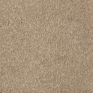 Abingdon Forest|Toasted Bagel|BZ177-514 - Sample