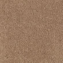 Load image into Gallery viewer, Abingdon Forest|Glazed Ginger|BZ177-504 - Sample