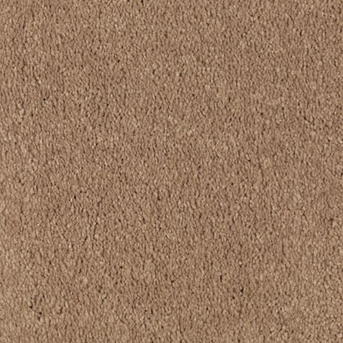 Abingdon Forest|Glazed Ginger|BZ177-504 - Sample