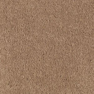 Abingdon Forest|Glazed Ginger|BZ177-504 - Sample