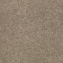 Load image into Gallery viewer, Abingdon Forest|Mushroom Cap|BZ177-519 - Sample