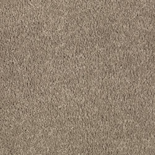 Abingdon Forest|Mushroom Cap|BZ177-519 - Sample