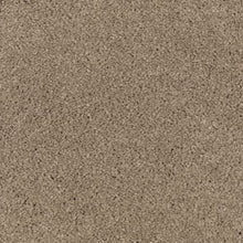 Load image into Gallery viewer, Abingdon Forest|Urban Taupe|BZ177-523 - Sample