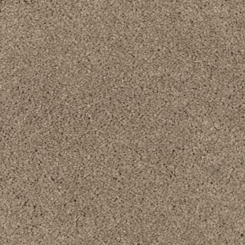 Abingdon Forest|Urban Taupe|BZ177-523 - Sample