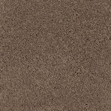 Load image into Gallery viewer, Abingdon Forest|Rich Earth|BZ177-516 - Sample