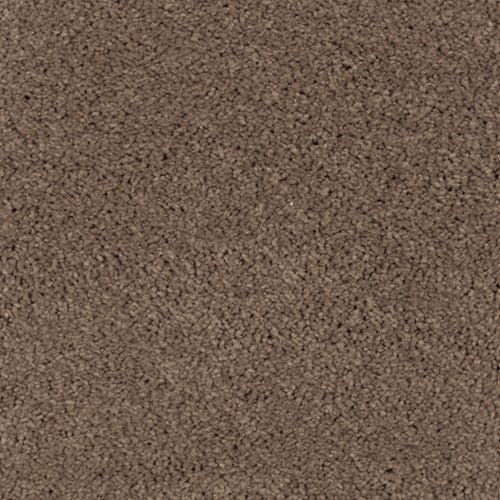 Abingdon Forest|Rich Earth|BZ177-516 - Sample