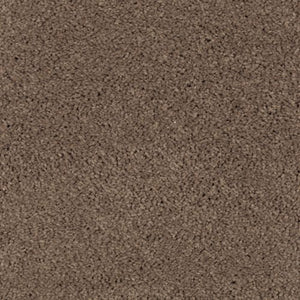 Abingdon Forest|Rich Earth|BZ177-516 - Sample