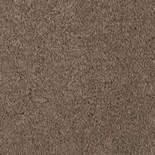 Load image into Gallery viewer, Absolute Elegance I|Pine Cone|2N34-520 - Sample