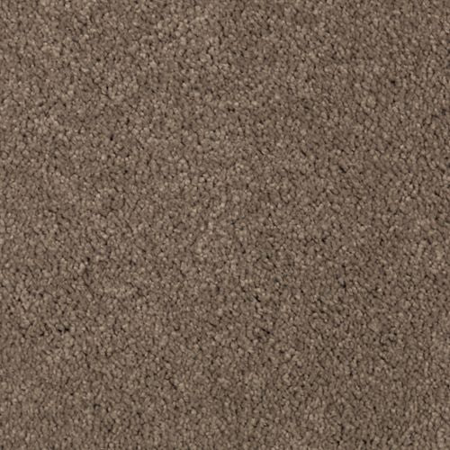 Absolute Elegance I|Pine Cone|2N34-520 - Sample