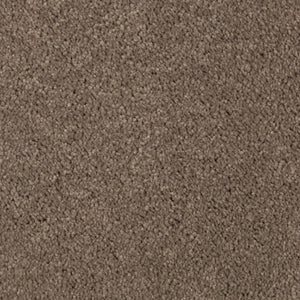 Abingdon Forest|Pine Cone|BZ177-520 - Sample