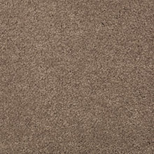 Load image into Gallery viewer, Absolute Elegance I|Cat-Tail|2N34-508 - Sample