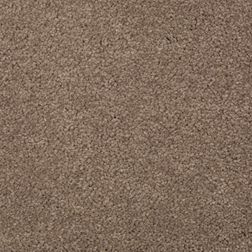 Abingdon Forest|Cat-Tail|BZ177-508 - Sample