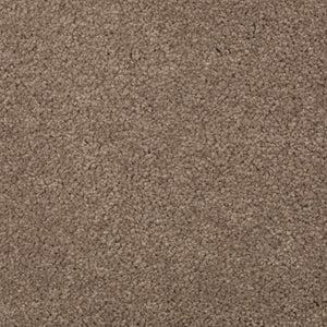 Abingdon Forest|Cat-Tail|BZ177-508 - Sample