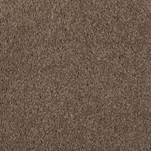 Abingdon Forest|Nutmeg |BZ177-512 - Sample