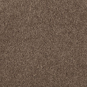 Abingdon Forest|Nutmeg |BZ177-512 - Sample