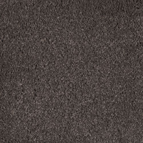 Abingdon Forest|Dried Peat|BZ177-524 - Sample