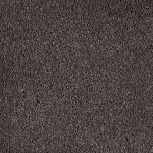 Abingdon Forest|Dried Peat|BZ177-524 - Sample