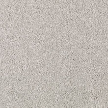 Load image into Gallery viewer, Abingdon Forest|Raindrop|BZ177-529 - Sample