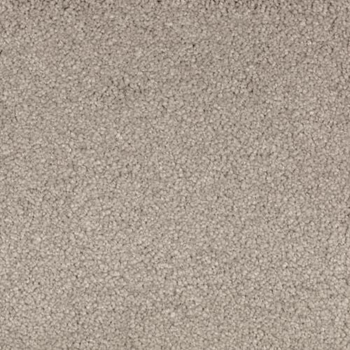 Abingdon Forest|Mineral Grey|BZ177-526 - Sample
