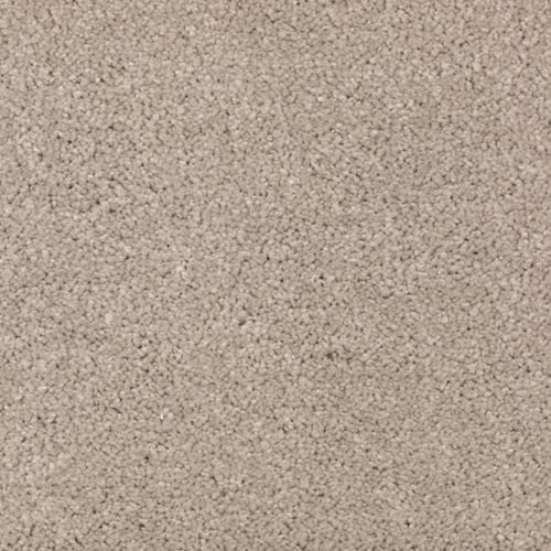 Abingdon Forest|Overcast|BZ177-522 - Sample