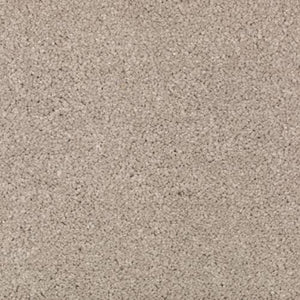 Abingdon Forest|Overcast|BZ177-522 - Sample