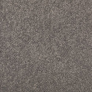 Abingdon Forest|Evening Shadow|BZ177-531 - Sample