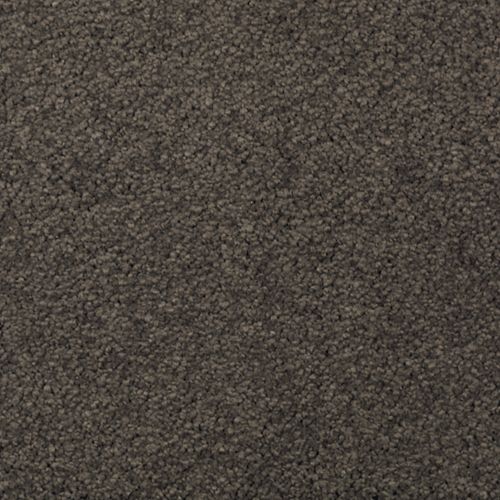 Abingdon Forest|Wrought Iron|BZ177-532 - Sample