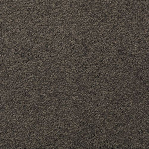 Abingdon Forest|Wrought Iron|BZ177-532 - Sample