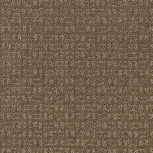 Load image into Gallery viewer, Beverly View|Ancestral Haze|LR216-799 - Sample