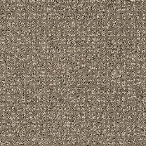 Beverly View|Taupe Shadow|LR216-829 - Sample