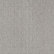 Load image into Gallery viewer, Flawless Vision|Grey Ice|2L64-915 - Sample