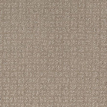 Load image into Gallery viewer, Beverly View|Winter Calm|LR216-937 - Sample