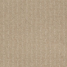 Load image into Gallery viewer, Ageless Look|Creamy Coconut|2L62-736 - Sample