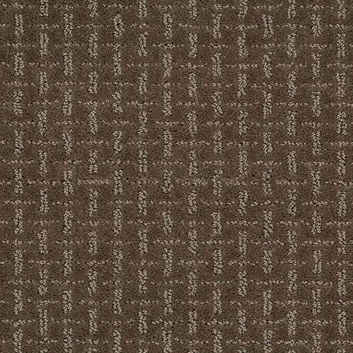 Ageless Look|Havanna|2L62-766 - Sample