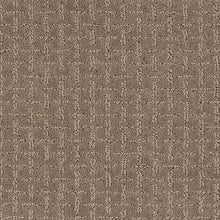 Load image into Gallery viewer, Ageless Look|Pebblestone|2L62-776 - Sample