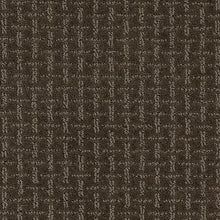 Load image into Gallery viewer, Ageless Look|Dark Chocolate|2L62-865 - Sample