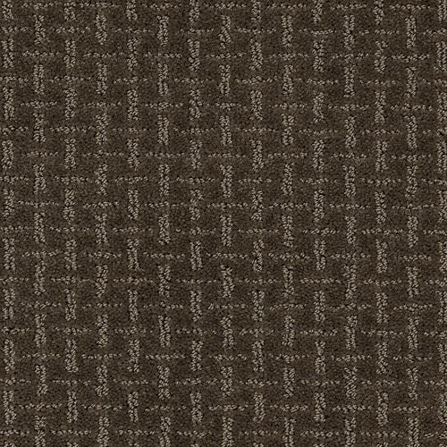 Ageless Look|Dark Chocolate|2L62-865 - Sample