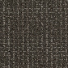 Load image into Gallery viewer, Ageless Look|Universal Umber|2L62-869 - Sample