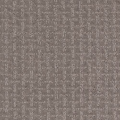 Ageless Look|Truffle|2L62-937 - Sample