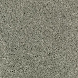 Absolute Elegance II|Garden Club |2N35-539 - Sample