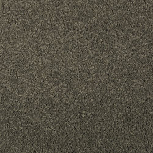 Absolute Elegance II|Pine Needle|2N35-540 - Sample