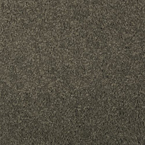 Absolute Elegance II|Pine Needle|2N35-540 - Sample