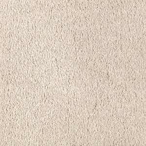 Absolute Elegance II|Shoreline|2N35-506 - Sample