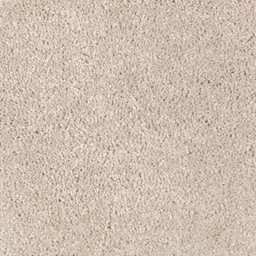 Absolute Elegance II|Parchment|2N35-509 - Sample