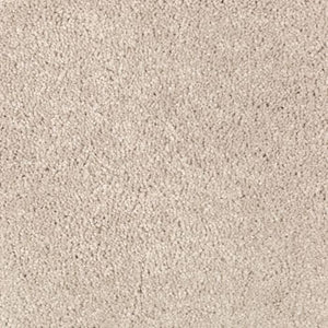 Absolute Elegance II|Parchment|2N35-509 - Sample