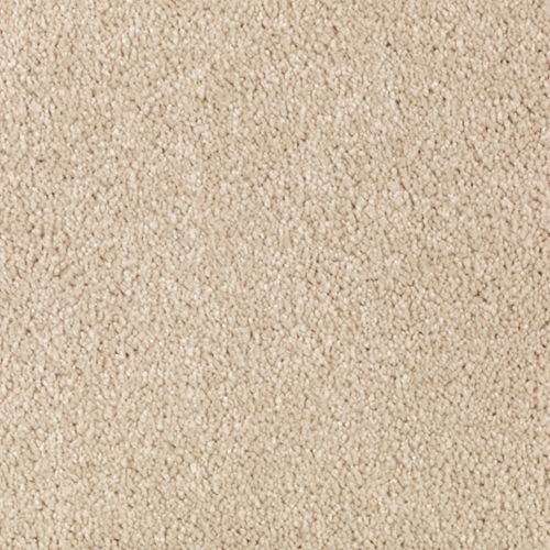 Absolute Elegance II|Beach Pebble|2N35-513 - Sample