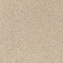 Load image into Gallery viewer, Berkely Estate|Morning Mist|PG217-521 - Sample